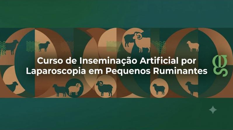 Curso de Inseminação Artificial por Laparoscopia em Pequenos Ruminantes